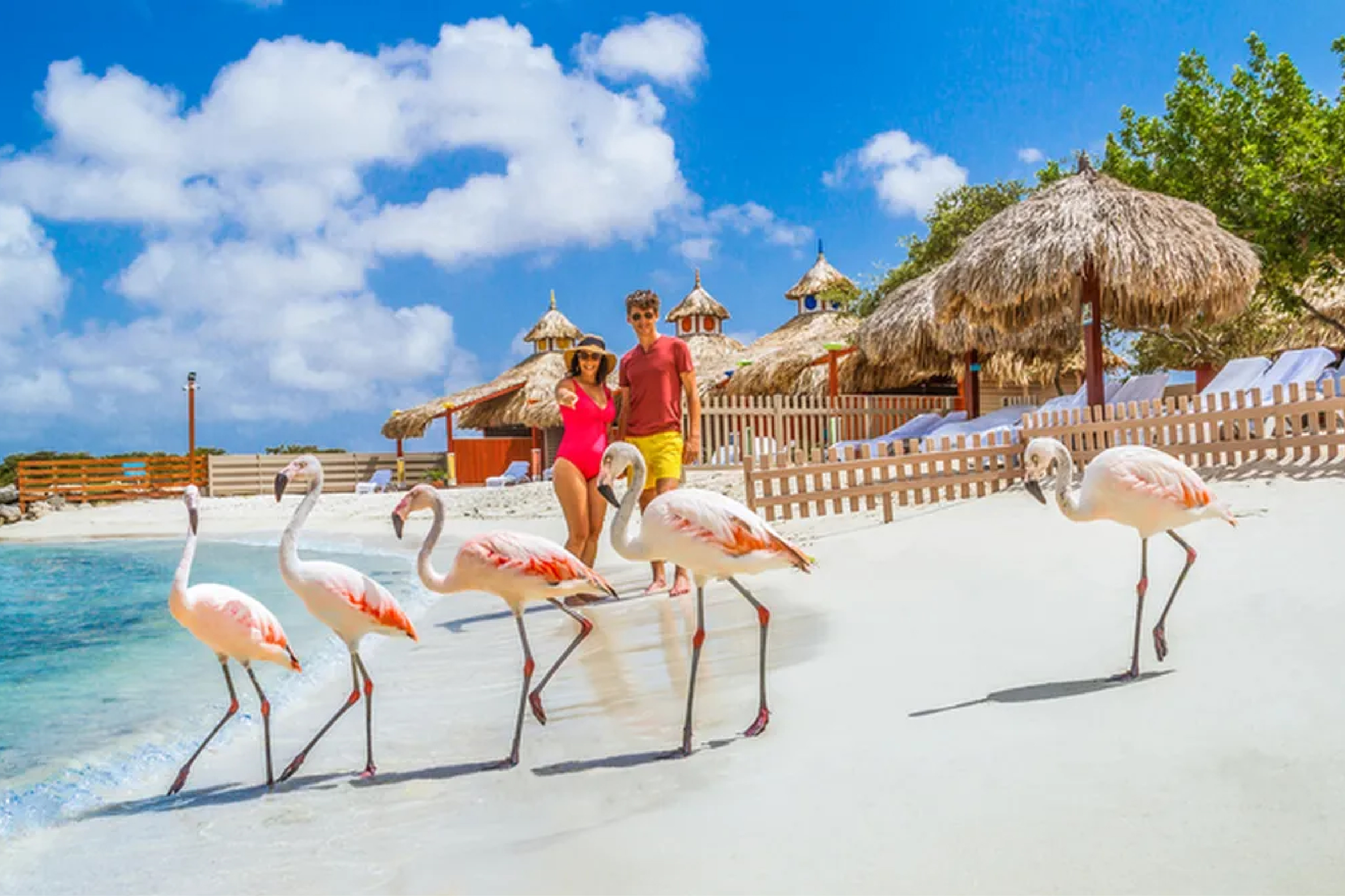 Vacaciones Confirmadas Aruba del 07 al 12 Set 2024